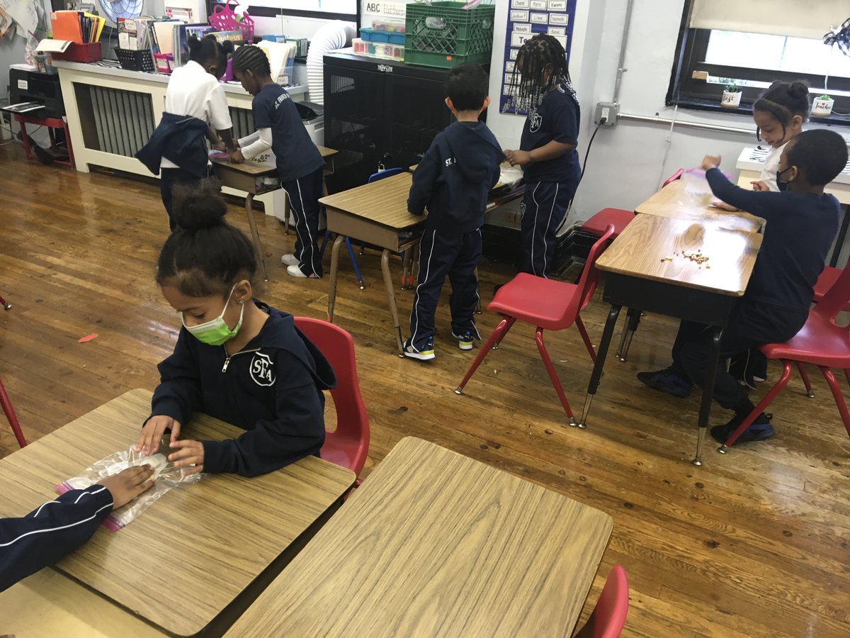 MurraySFABX's tweet photo. Kindergarten is reading "Jack and the Beanstalk" and planting their own beans! #jackandthebeanstalk #kindergarten #SFABronx #planting https://t.co/MxPufyQ2BT