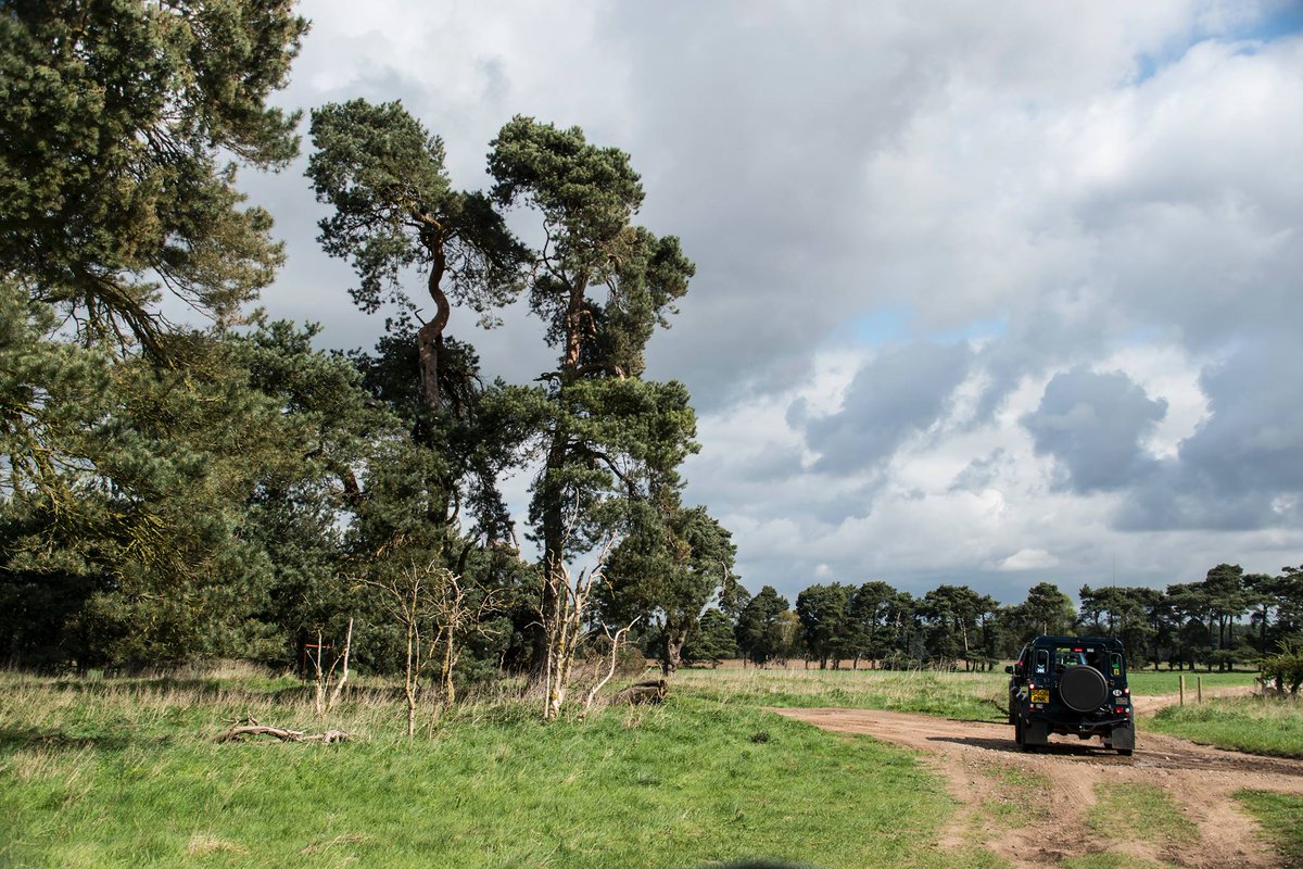 AllTerrainUK's tweet photo. Thetford forest 🌳 on one of ATUK’s laning trips ☁️ https://t.co/7FeA8ZtKst