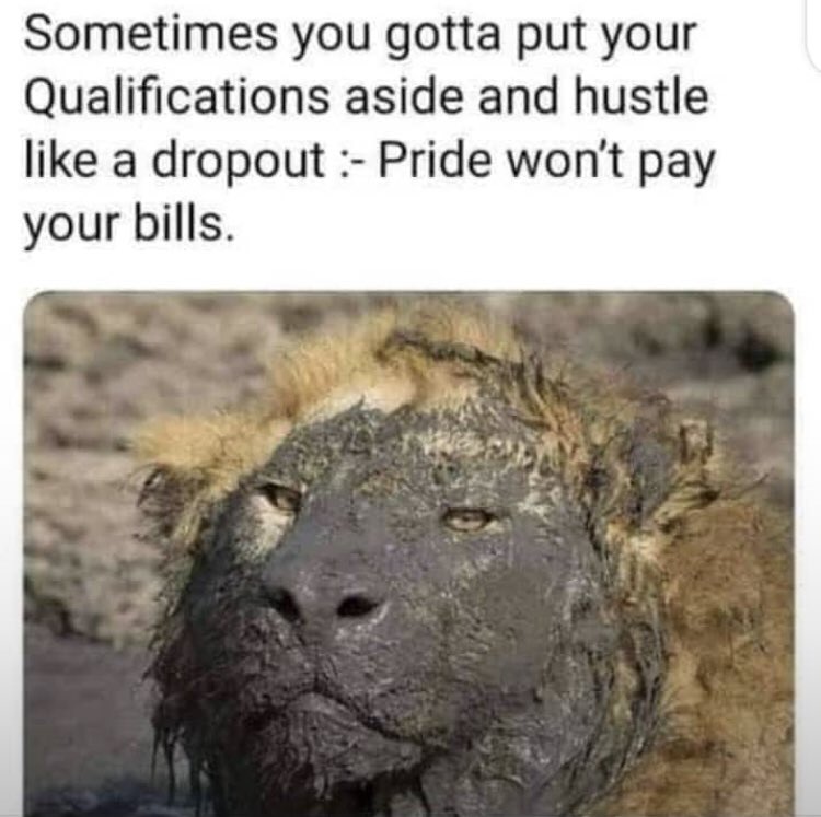 Konen Francis A. D. tweet media