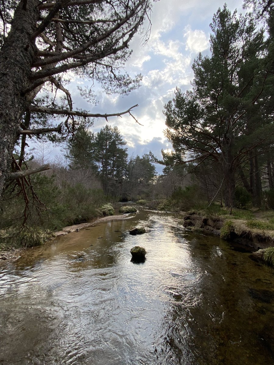 Lornaksmith's tweet photo. Gravel bed rivers 😍 https://t.co/ShAZsrtq1c