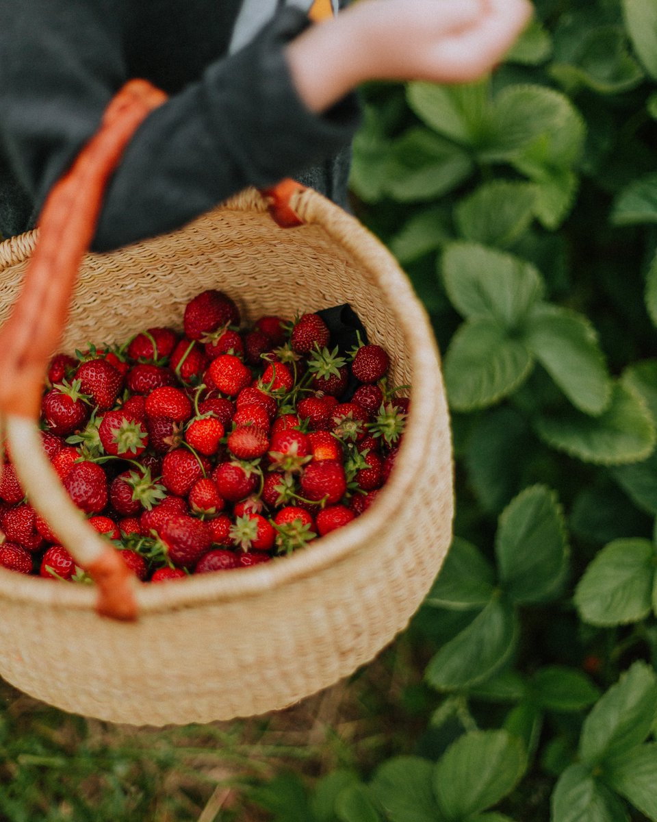 willowsagemag's tweet photo. As the weather heats up and we start to spend more time out in the sunshine, it’s fun to make a list with a variety of activities! Visit: https://t.co/1uHmMlqcOC to be inspired by our editor's spring to-do list 🍓 Photo by Daiga Ellaby https://t.co/0w0ZQBvtRh