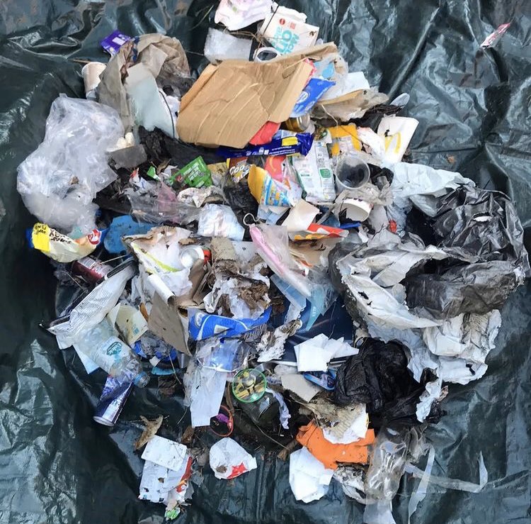 One Global Ocean tweet media