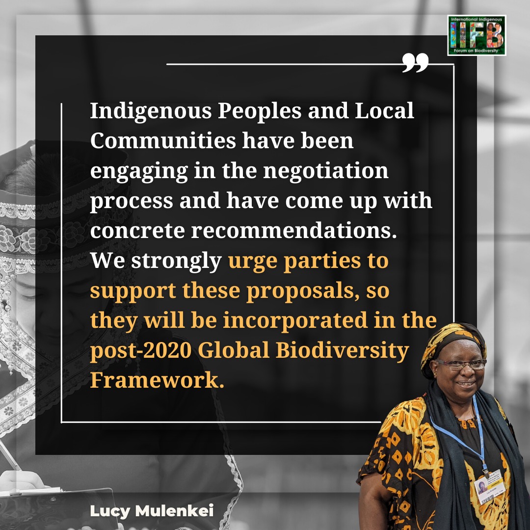IIFB_indigenous's tweet image. The full and effective #participation and inclusion of #IndigenousPeoples and local communities in processes that affect them will yield better results for people and for #nature. This is one of our key messages in this ongoing meeting in #Geneva - @mulenkei, Co-chair, IIFB