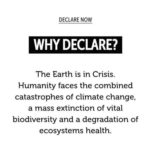 CultureDeclares's tweet photo. Have you seen our new website?
We've got new resources, new Declarer profiles and much more to get right into the action!
Check it out:
https://t.co/6zLdw9PqED
#ItStartedWithTheTruth https://t.co/59ef86rE82