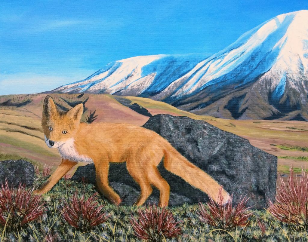 гора лиса чехия. Tibetan fox art. лиса на горе. лисица горы эстетика. горные лисы.