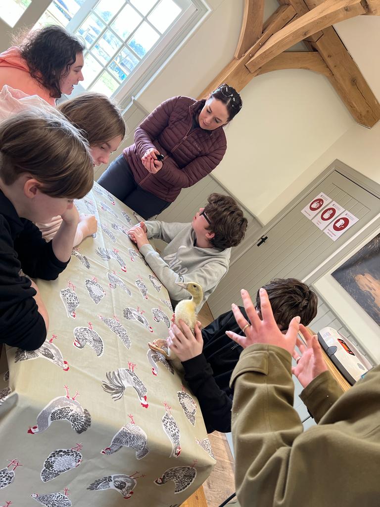 MissG_DHT's tweet photo. Fabulous feedback from our first visit to @Dumfries_House Fresh Start programme - not sure if the adults or kids enjoyed it more! #freshstart #educationalprogramme #nurture #outdoorlearning https://t.co/FGM5vfRooj