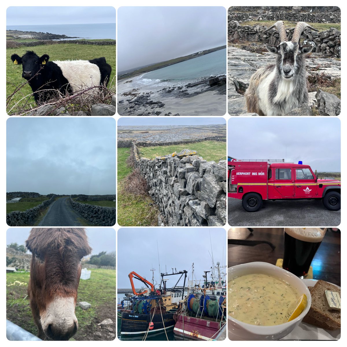 OrangeworksIE's tweet image. We had a great few days checking out Inis Mór in all its glory 🌞 Event planning for Summer 2022.. We cannot wait 🙌🏻 

#creatingexperiences #orangeworks #incentivetravel #eventplanning #teambuilding #teambuildingevent