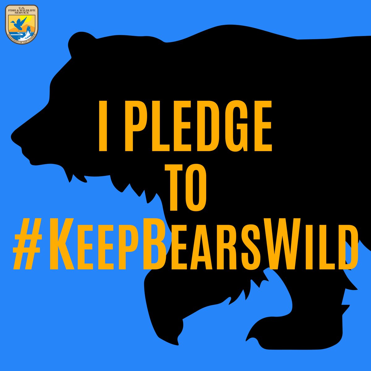 Do you pledge to #KeepBearsWild?

Infographics: @USFWS