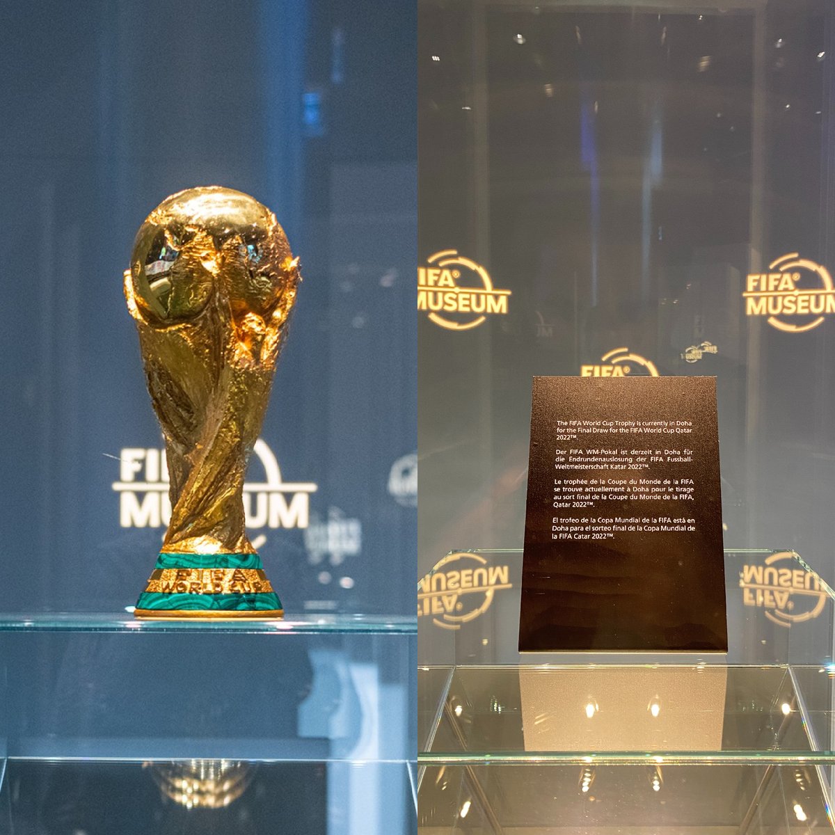 The FIFA World Cup Trophy is back at the Museum - FIFA Museum (english)