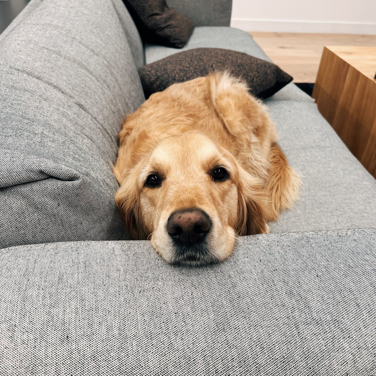 ✨ Join our team! ✨ 

Love TV, Film, Theatre and Attractions? Obsessed with Social Media? Want to work in a creative, passionate and joyful environment? Join #TeamJwoo as a Social Media Exec. 

Email why you’d love to join us and include your CV 👉 jenny@jwoosocial.com