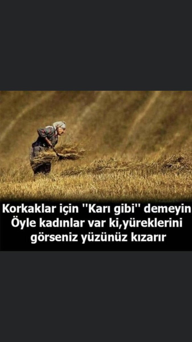 <a href="/hayalhanemersin/">Hayalhanem</a>