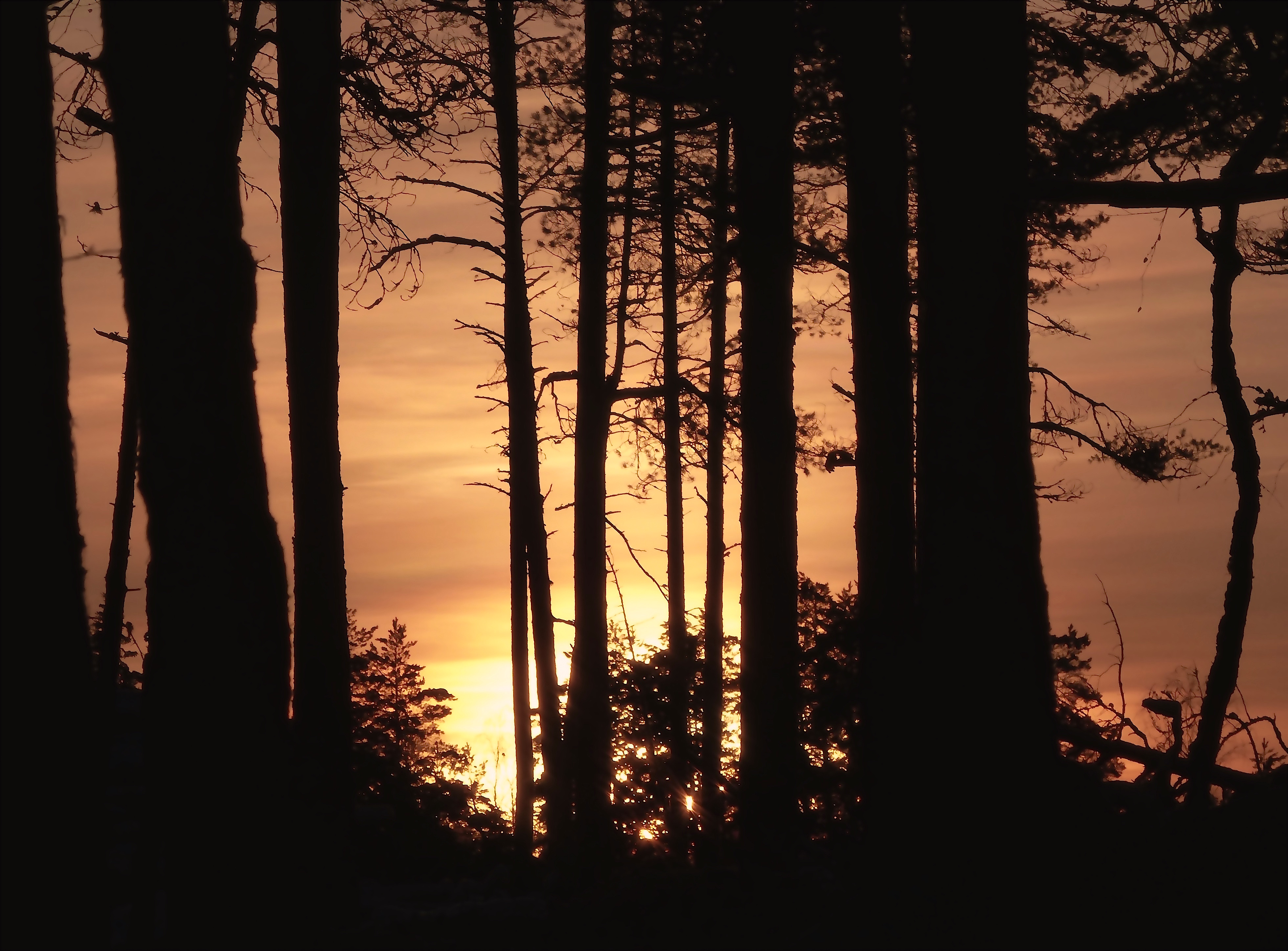 Tuula Ström 🌻 on Twitter "MartenBjorkgren Tack detsamma!" / Twitter