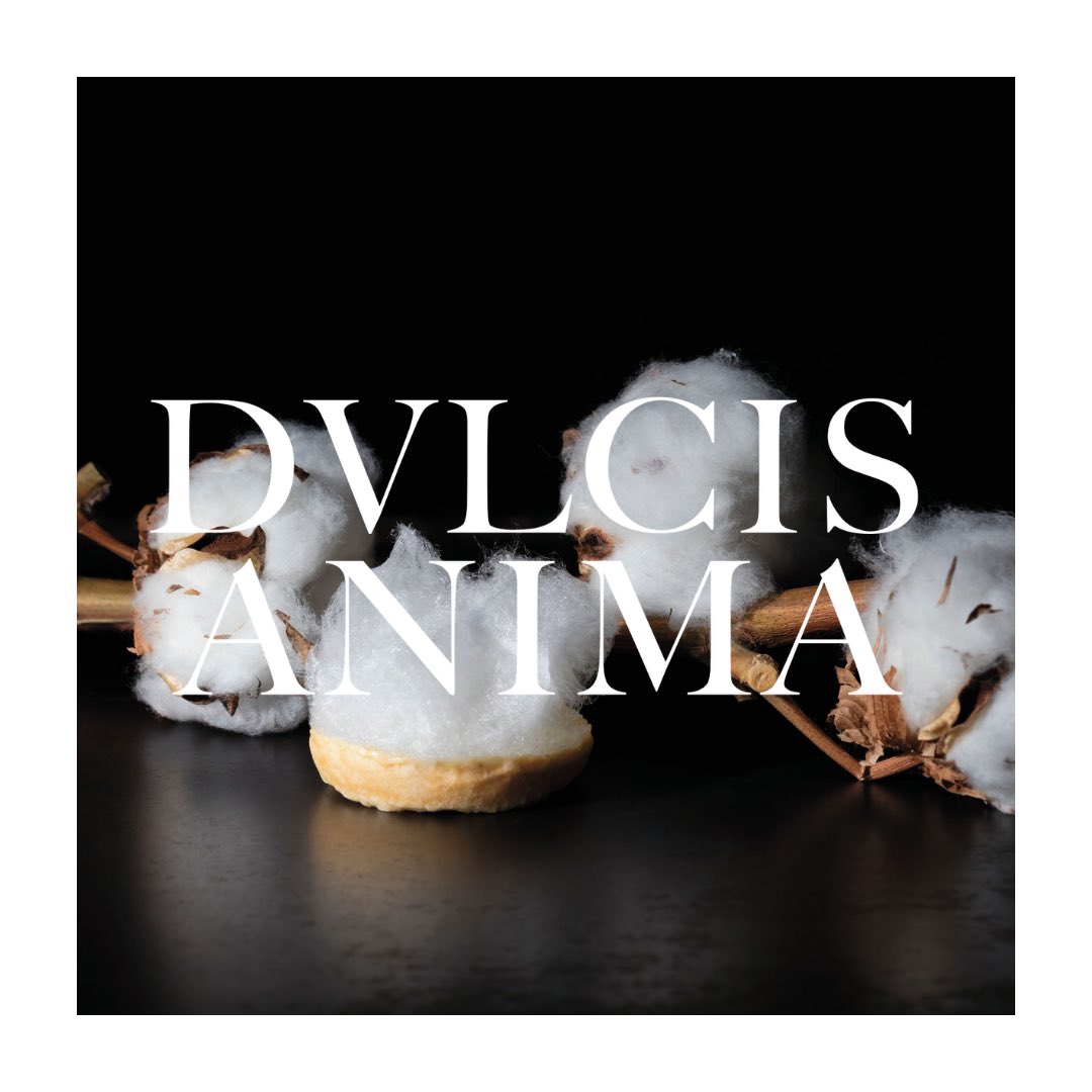 PãstryRevolution (@pastryrev) on Twitter photo ✨ EL UNIVERSO DULCE DE LES COLS. 'De nuestra huerta; Flor de nieve, algodón de coliflor' de <a href="/LesCols_Fina/">Fina Puigdevall Nogareda</a> en el Cuaderno DVLCIS ANIMA. Un cuaderno de <a href="/Montagud1906/">MONTAGUD EDITORES</a>.
🌱
<a href="/MartinaPuigvert/">Martina Puigvert Puigdevall</a> Clara Puigvert <a href="/CarlotaPuigvert/">Carlota Puigvert Puigdevall</a> #DulcisAnima #huerta #coliflor
🌐 libreriagastronomica.com/products/656 ✨ EL UNIVERSO DULCE DE LES COLS. 'De nuestra huerta; Flor de nieve, algodón de coliflor' de <a href="/LesCols_Fina/">Fina Puigdevall Nogareda</a> en el Cuaderno DVLCIS ANIMA. Un cuaderno de <a href="/Montagud1906/">MONTAGUD EDITORES</a>.
🌱
<a href="/MartinaPuigvert/">Martina Puigvert Puigdevall</a> Clara Puigvert <a href="/CarlotaPuigvert/">Carlota Puigvert Puigdevall</a> #DulcisAnima #huerta #coliflor
🌐 libreriagastronomica.com/products/656