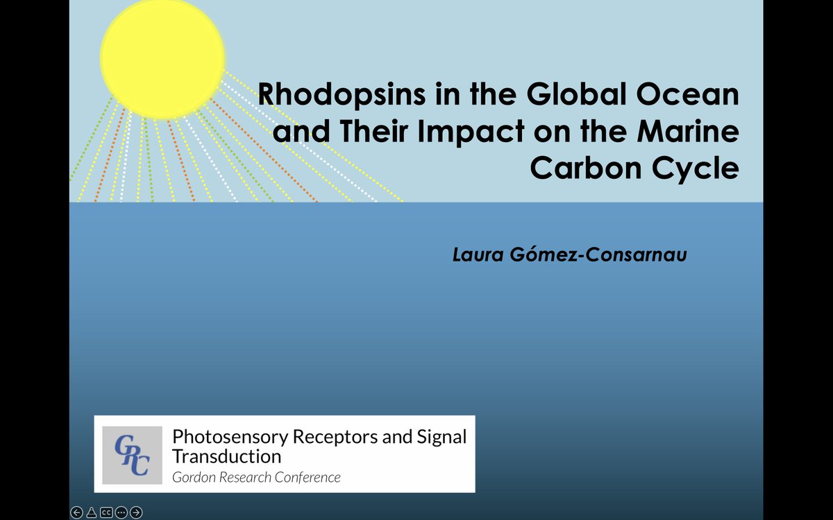 lauraconsarnau's tweet photo. Counting down the days for my first conference in person since the pandemic, so excited to meet everyone @GrcGrs https://t.co/y8xZRFfJY4