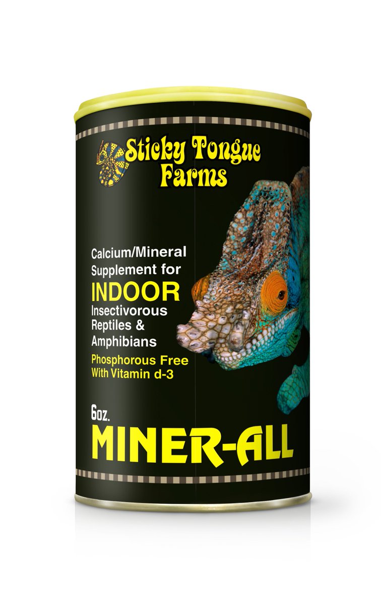 Backwater Reptiles tweet media