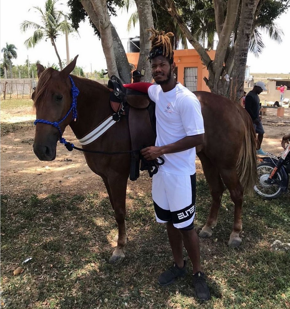 "Tapia has always loved animals, &amp; purchased a farm in 2017...His family will hold up the phone so he can see his cows, goats, pigs, turkeys...when the season was paused because of [Covid], Tapia went back home &amp; practiced with his furry friends...batting practice among the cows"
