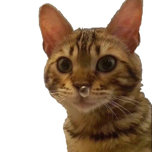 YggDrasille tweet media