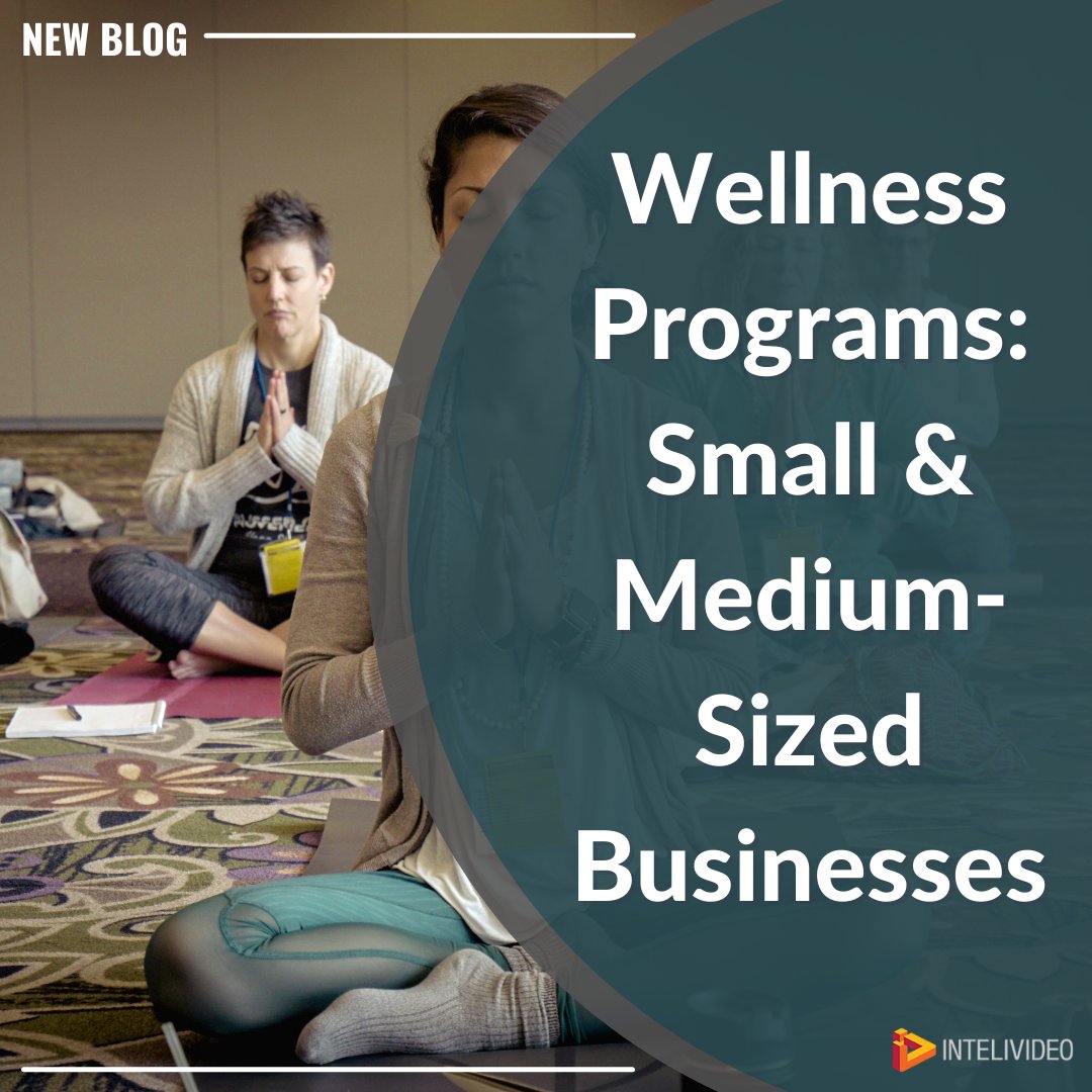 Many businesses today are looking for ways to enhance the wellbeing of their employees, and this provides a priceless opportunity for any fitness entrepreneur. 

Read the blog here: intelivideo.com/blog/wellness-…

#fitnessbusiness #employeeretention #corporatewellness #wellnessprograms