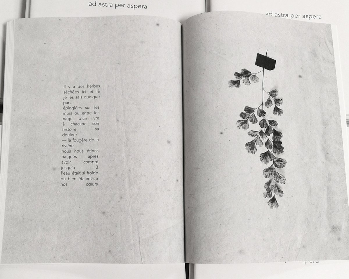 CorepImpression's tweet photo. PHOTOS &amp; POÉSIE 📷 Voici un recueil de photos et textes, tout en poésie, appelé "ad astra per aspera" réalisé par Eglantine Rocchia @enlabsence et Didier Derien puis imprimé à notre agence Corep Marseille Canebière 😊
Détails : Format 18x24cm, papier recyclé 80g en 50 exemplaires https://t.co/OLzAPhlxYB