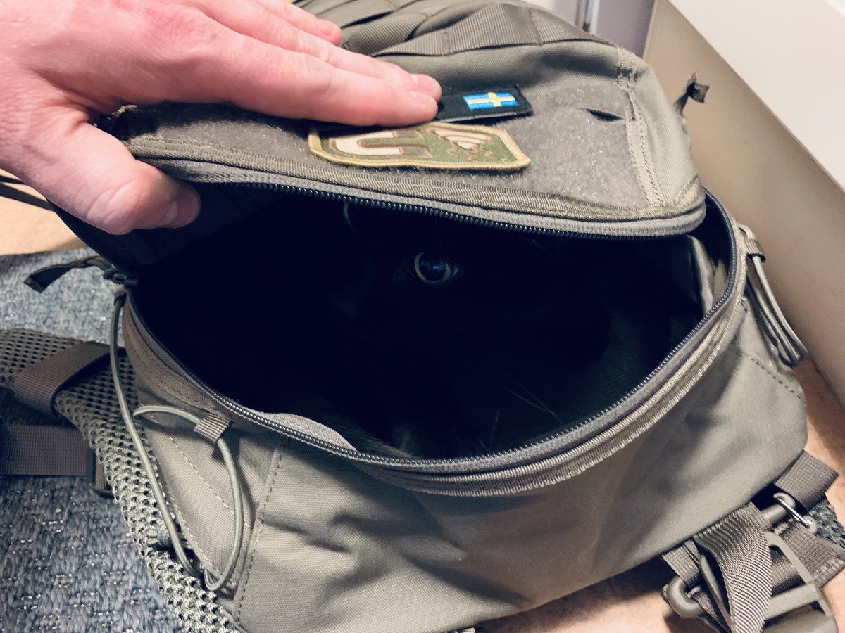 paragraf_13's tweet photo. Lade min ryggsäck på golvet efter jag handlat. Tog bedömt noll minuter innan den hade en ny inneboende.
#dexterthecat #snigeldesign #tacticat #EDCkatt https://t.co/al5SiW65gL