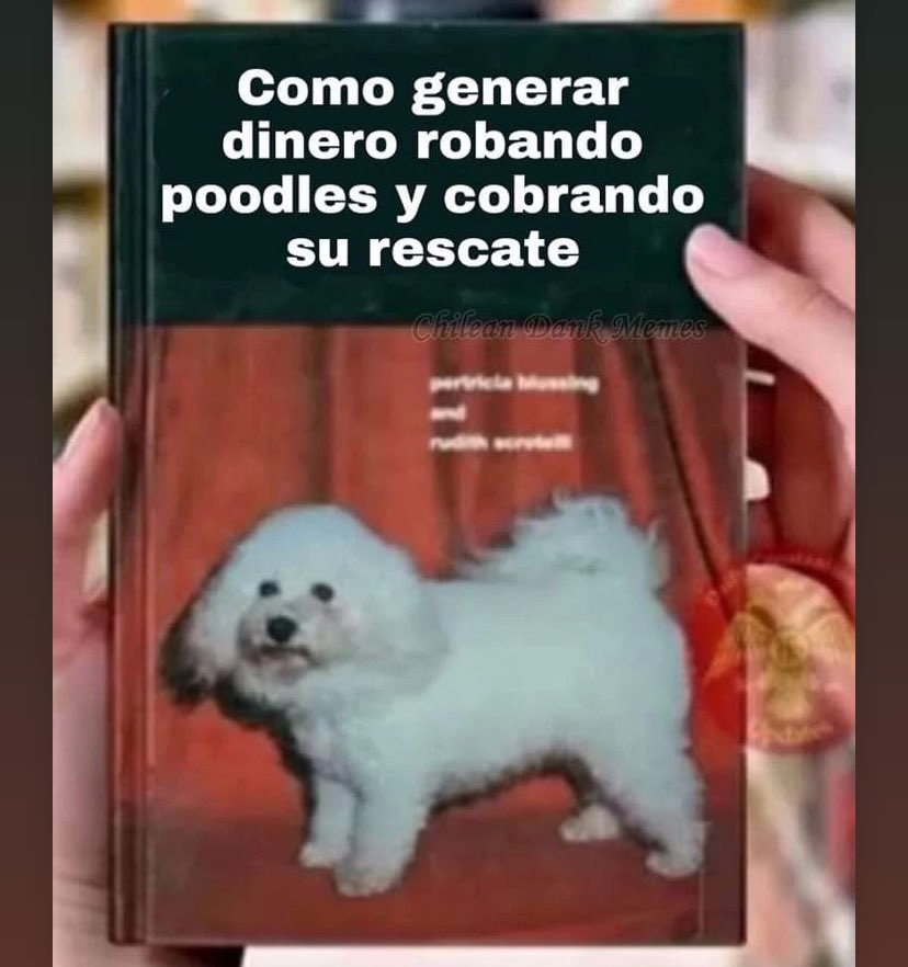 CONCHESUMADRECL's tweet photo. https://t.co/0dXytPHuVN