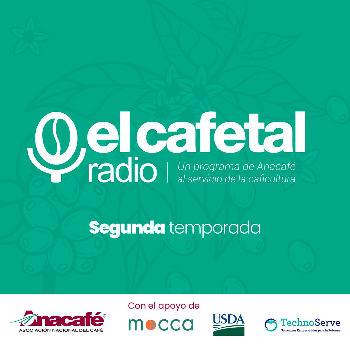 CafedeGuatemala's tweet photo. #ElCafetalRadio | Segunda temporada ☕️🎙📻

✅ Todos los martes a partir del 26 de abril en https://t.co/CH4NBAaZJn | En Spotify como "El Cafetal Radio".

Con el apoyo del programa #MOCCA , el cual es financiado por @USDA e implementado por @TechnoServe. https://t.co/At0bWt4zhu