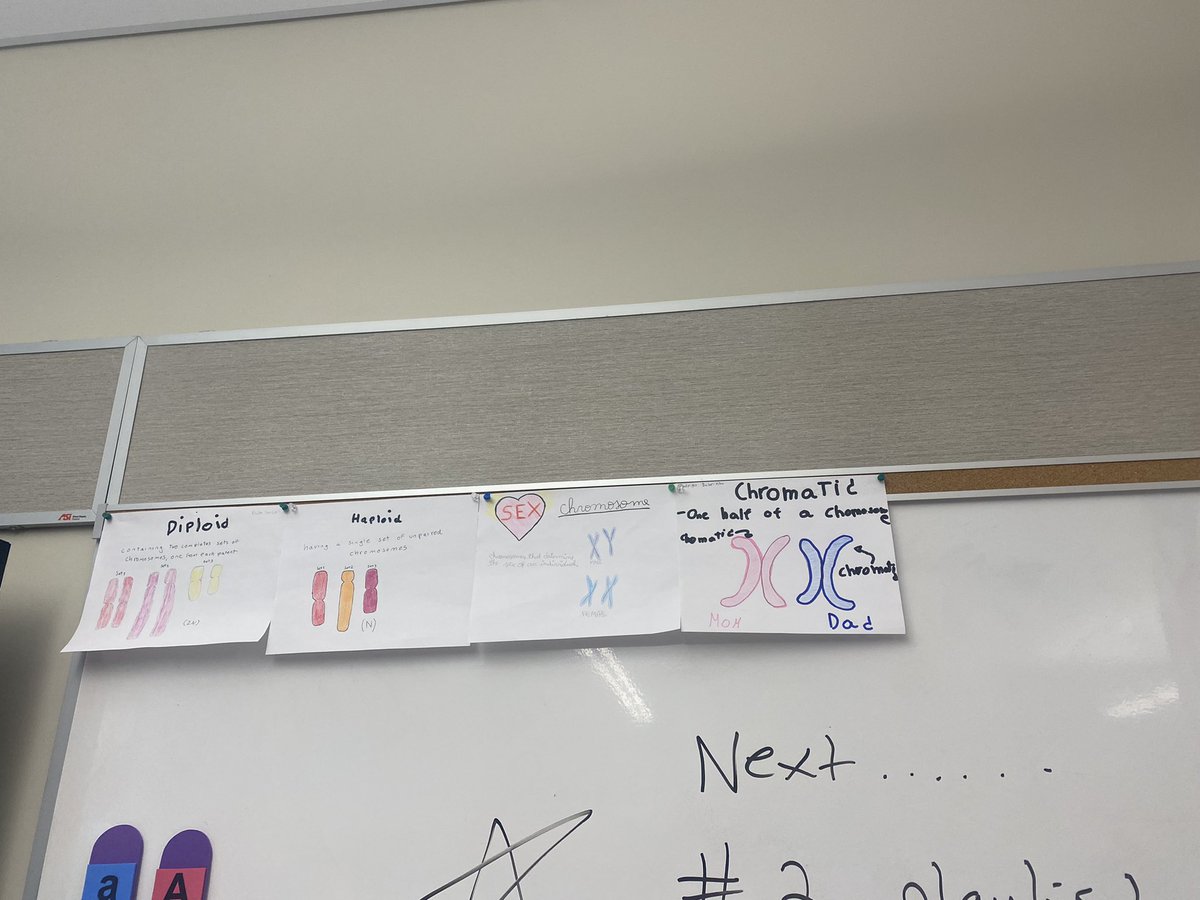 Kelly McNeary tweet media