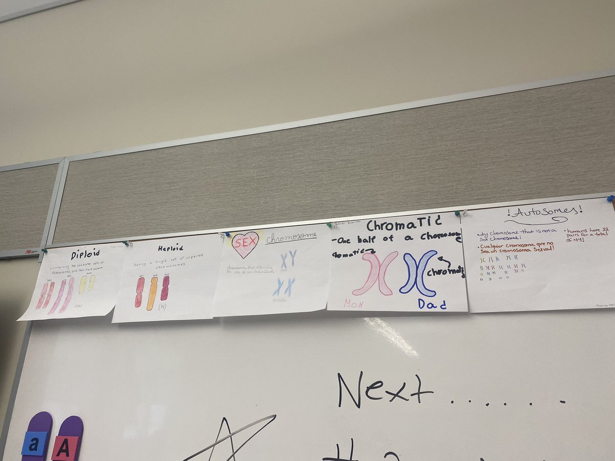 Kelly McNeary tweet media