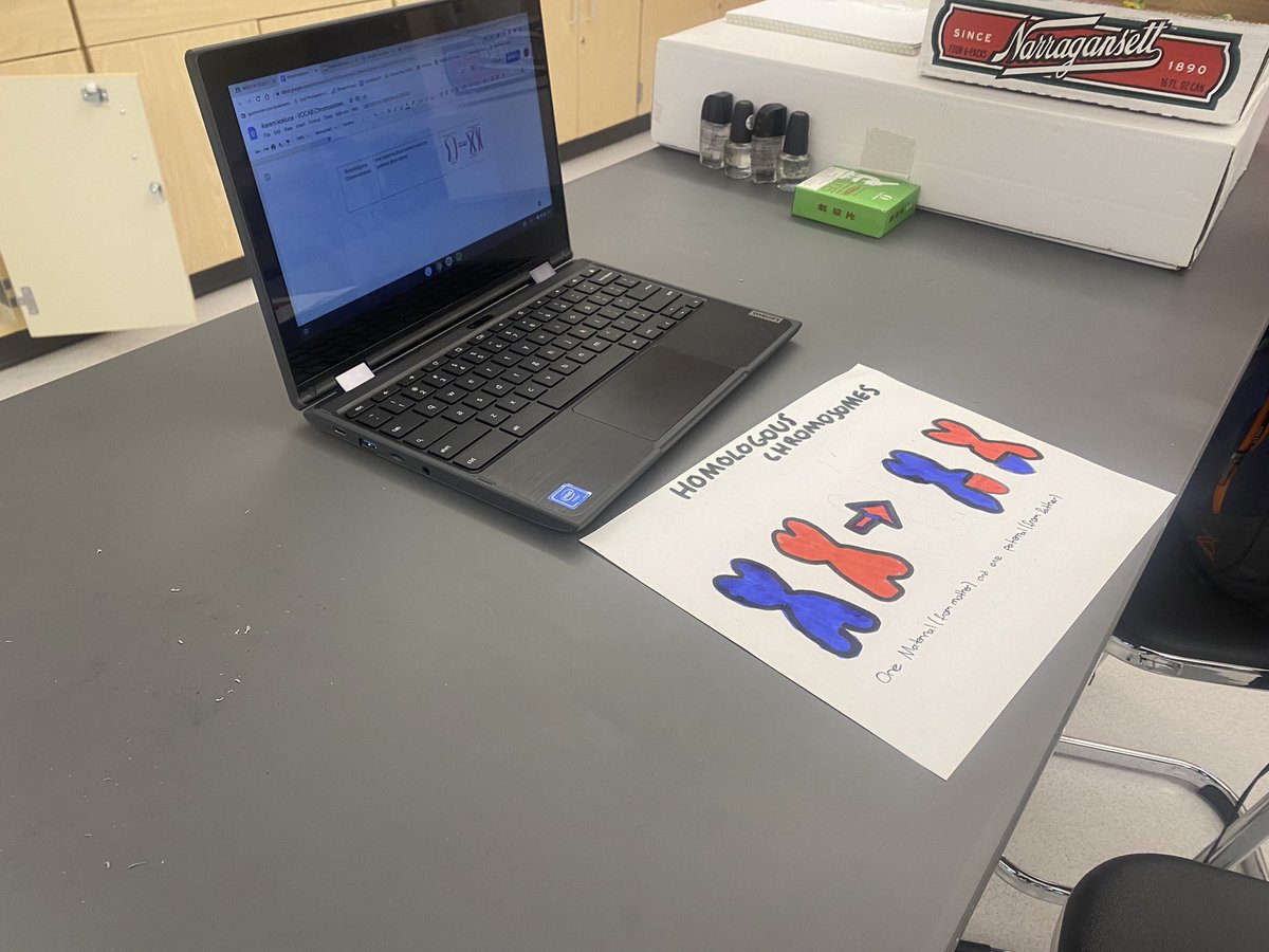 Kelly McNeary tweet media