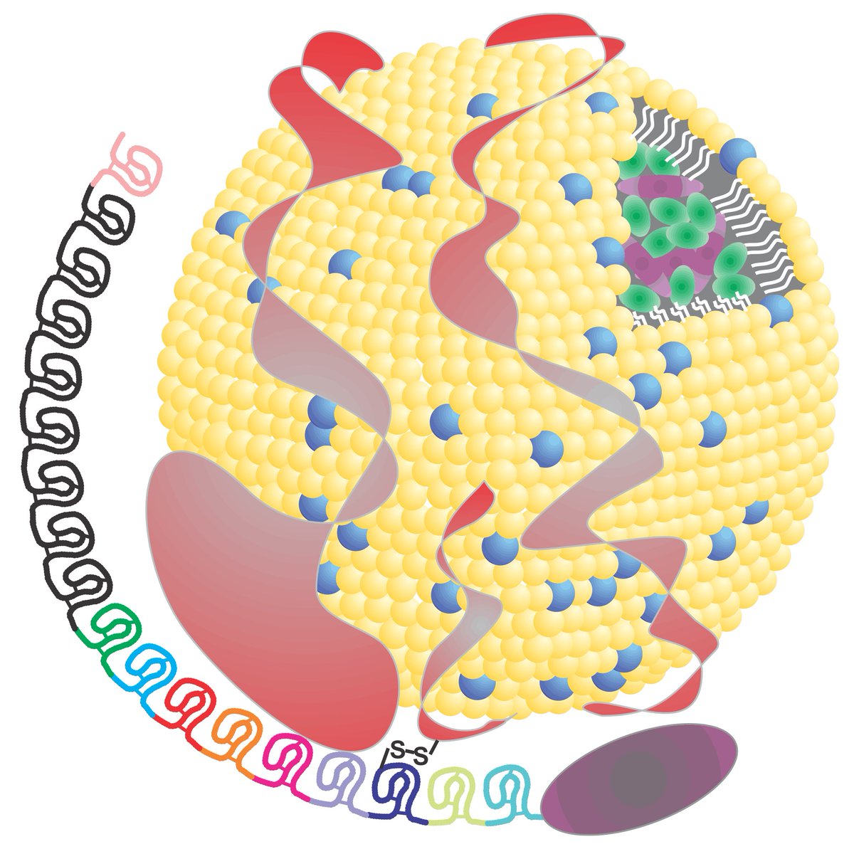 Michael Boffa tweet media