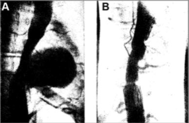 André Brito Queiroz tweet media