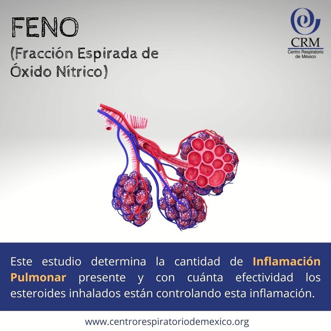 CRdeMexico's tweet photo. ✅ Fracción Espirada de Óxido Nítrico
👉 https://t.co/Gz6pXgPBaa
#postcovid #Neumologo #funcionpulmonar https://t.co/BanHUoSCBk