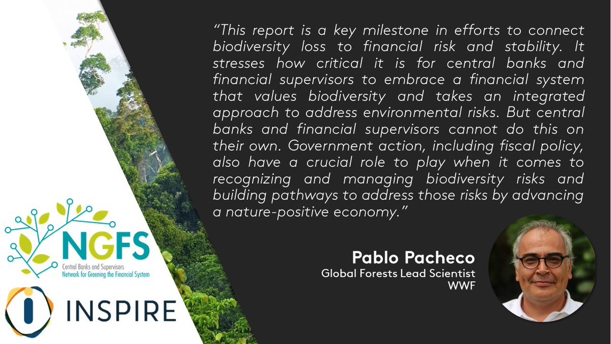 WWF Forests (@wwfleadforests) on Twitter photo Biodiversity loss poses significant risks to banks and financial institutions. An important new report by <a href="/NGFS_/">Network for Greening the Financial System</a> & <a href="/INSPIREgreenfin/">INSPIRE - Greening the financial system</a> highlights the role central banks and supervisors can play to bring the Global Biodiversity Framework to life.
wwf.panda.org/?5349441/ Biodiversity loss poses significant risks to banks and financial institutions. An important new report by <a href="/NGFS_/">Network for Greening the Financial System</a> & <a href="/INSPIREgreenfin/">INSPIRE - Greening the financial system</a> highlights the role central banks and supervisors can play to bring the Global Biodiversity Framework to life.
wwf.panda.org/?5349441/
