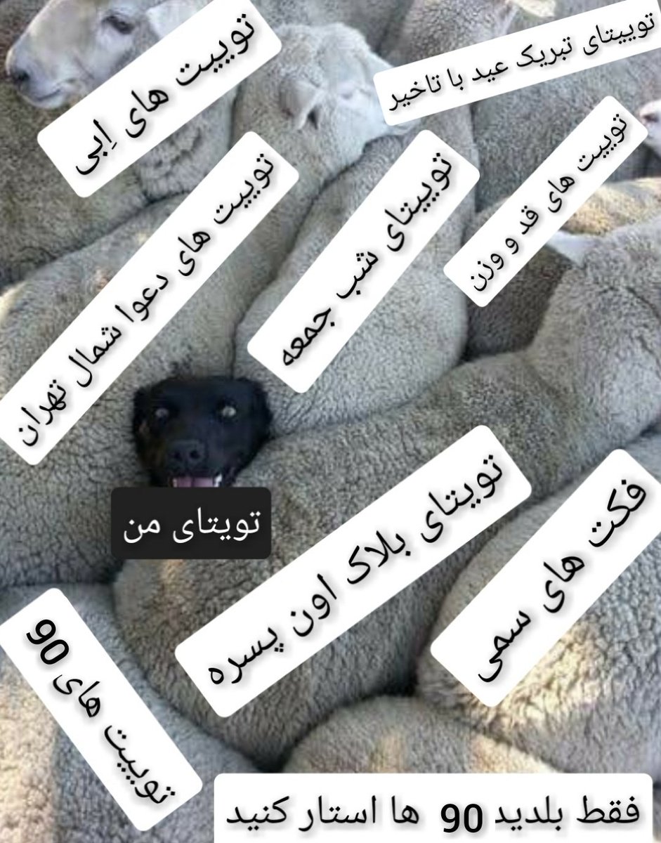 DkhtrMaharajh's tweet photo. وقتی میام تایم لاین https://t.co/qLpbZAFWLQ