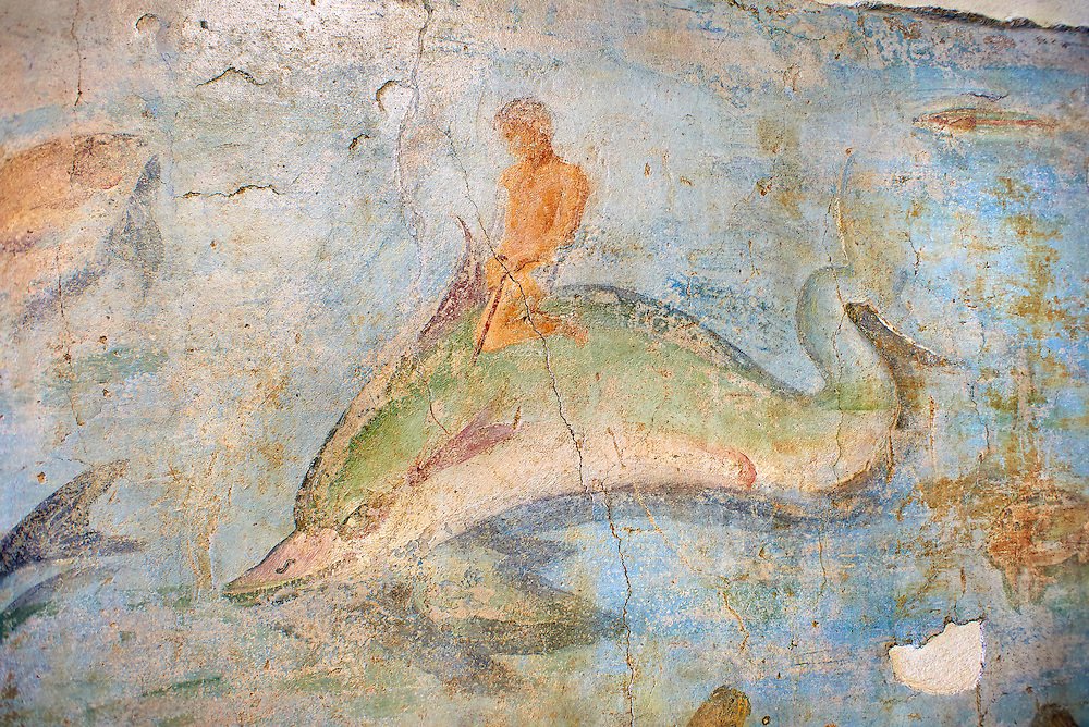 One problem: how would the Romans have painted a dolphin? Examples from all over the empire show little agreement in color (other than red flukes/fins), so I used a range of mosaics and frescoes to inform my choices. 4/