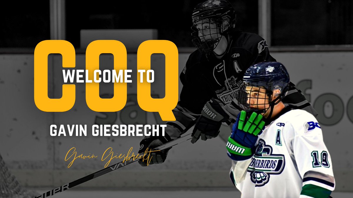 BCHLExpress's tweet photo. The #Express announce the commitment to Gavin Giesbrecht for the 2022-2023 Season. 

Giesbrecht tallied 47 points in 36 games for the Fraser Valley Thunderbirds U18 AAA Team this season 

🔗 https://t.co/qQXazYhb86 https://t.co/EzeYbNfEiD