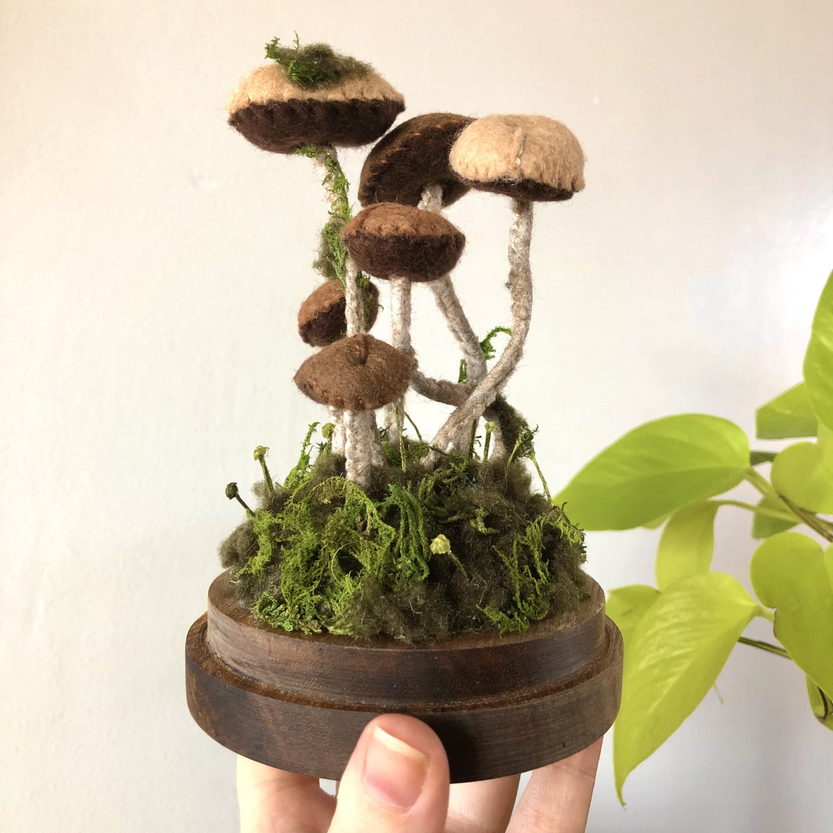 nnaturenurture's tweet photo. Hand sewn, felt, mossy mushroom terrarium🌱 complete with tiny moss spores! https://t.co/5ToMLomCWs