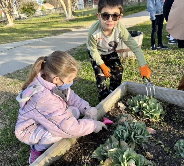 Our Garden Club delighted in the Kale they planted and made delicious salads! #buildingthebestSPS#nsesdolphins