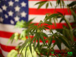 todd_harrison's tweet photo. Federal Marijuana Legalization Bill Officially Scheduled For House Floor Vote Next Week

The U.S. House of Representatives will vote on a bill to federally legalize marijuana for the second time in history next week.

🇺🇸 #cannabis 🌿

https://t.co/IfdSTwTeQa. https://t.co/F5k0af2jAt