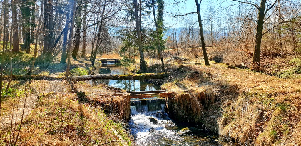 AliceVoetter's tweet photo. #fit2work #reconvalescence @wissenspark #ursteinau spring is definitely in the air 🌻🌞🐝 https://t.co/ZTKLpJJUE7