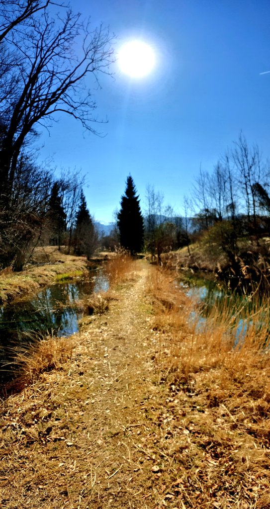AliceVoetter's tweet photo. #fit2work #reconvalescence @wissenspark #ursteinau spring is definitely in the air 🌻🌞🐝 https://t.co/ZTKLpJJUE7