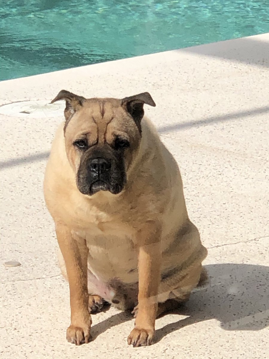 Monica Pedraja tweet media