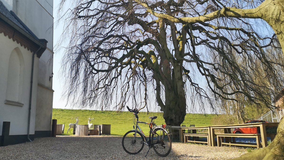 tddebrabander's tweet photo. De dag door met een #selfiets #sunriser een magic #tree en een #boerenrustpunt @WNLVandaag @buienradar @whoebert @marjondehond @Talpaweer @bliksemdetect @weerplaza https://t.co/w0J24SmoAT