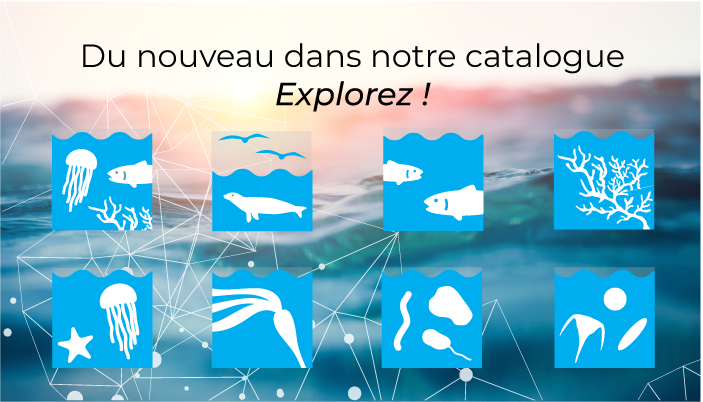 Observatoire global du Saint-Laurent (@ogsl_slgo) on Twitter photo De nouvelles variables essentielles océaniques, alignées sur le <a href="/GOOSocean/">The Global Ocean Observing System (GOOS)</a>, sont disponibles. Il est dorénavant possible d’explorer les données par l’entremise d’une série de variables de biologie et écosystèmes ainsi qu’interdisciplinaires. Explorez ! : catalogue.ogsl.ca/fr/ De nouvelles variables essentielles océaniques, alignées sur le <a href="/GOOSocean/">The Global Ocean Observing System (GOOS)</a>, sont disponibles. Il est dorénavant possible d’explorer les données par l’entremise d’une série de variables de biologie et écosystèmes ainsi qu’interdisciplinaires. Explorez ! : catalogue.ogsl.ca/fr/