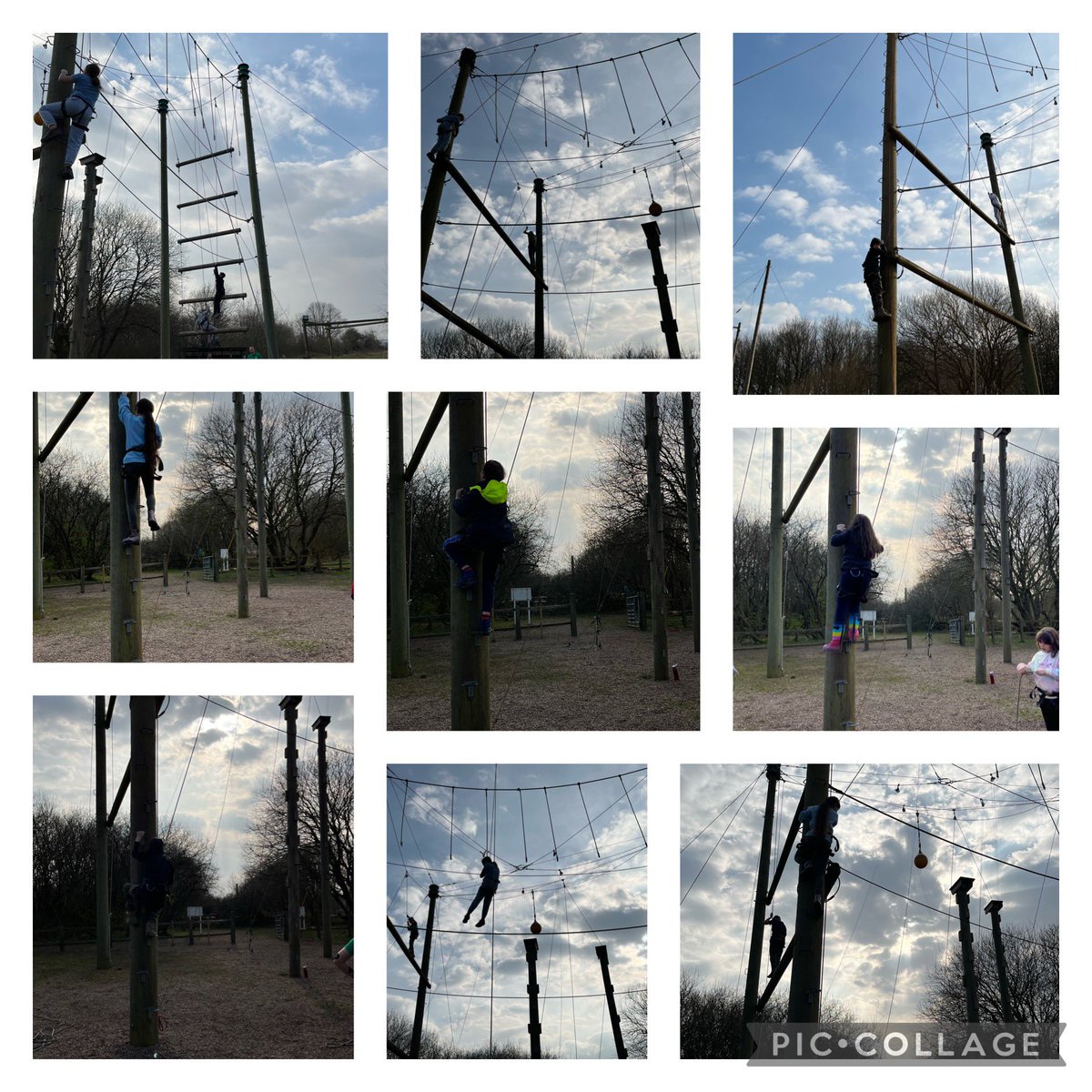 Y5 Kingswood- Jungle vines