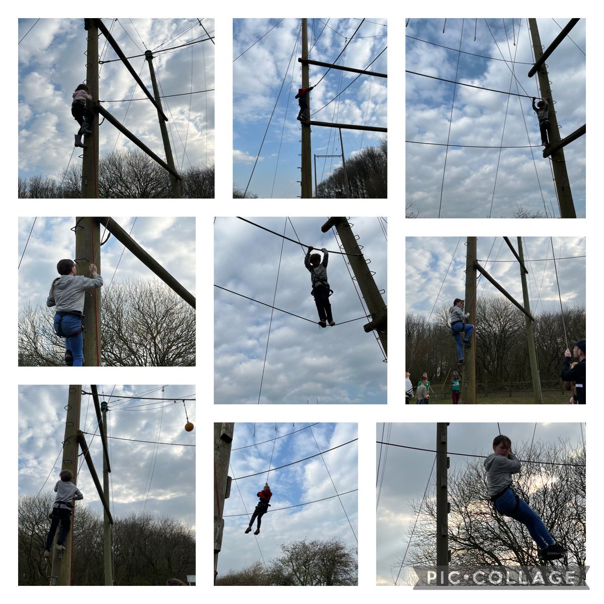 Y5 Kingswood- Jungle vines