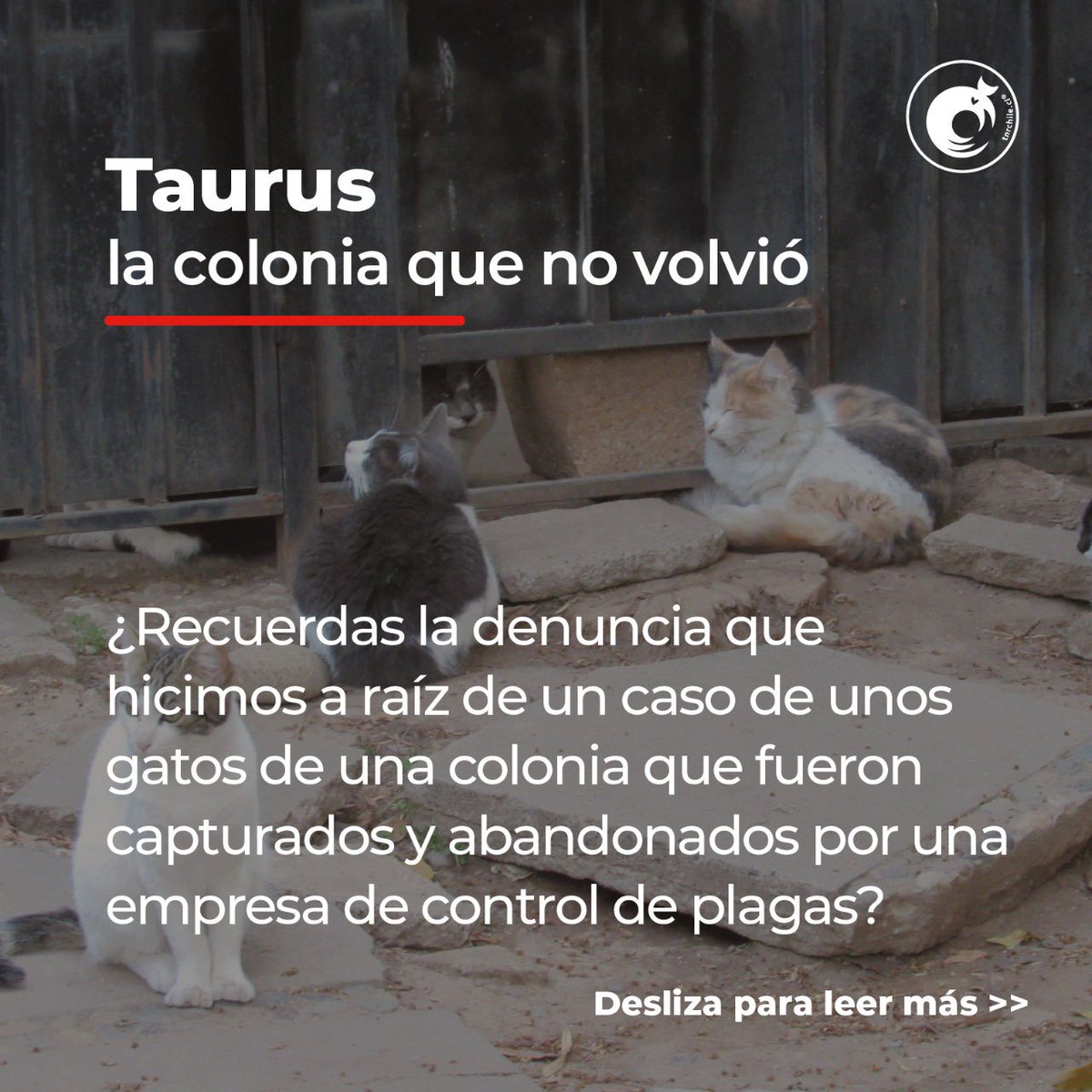 ffelinnos's tweet photo. Esto está pasando 👇🏻 https://t.co/kAsCWuzGht