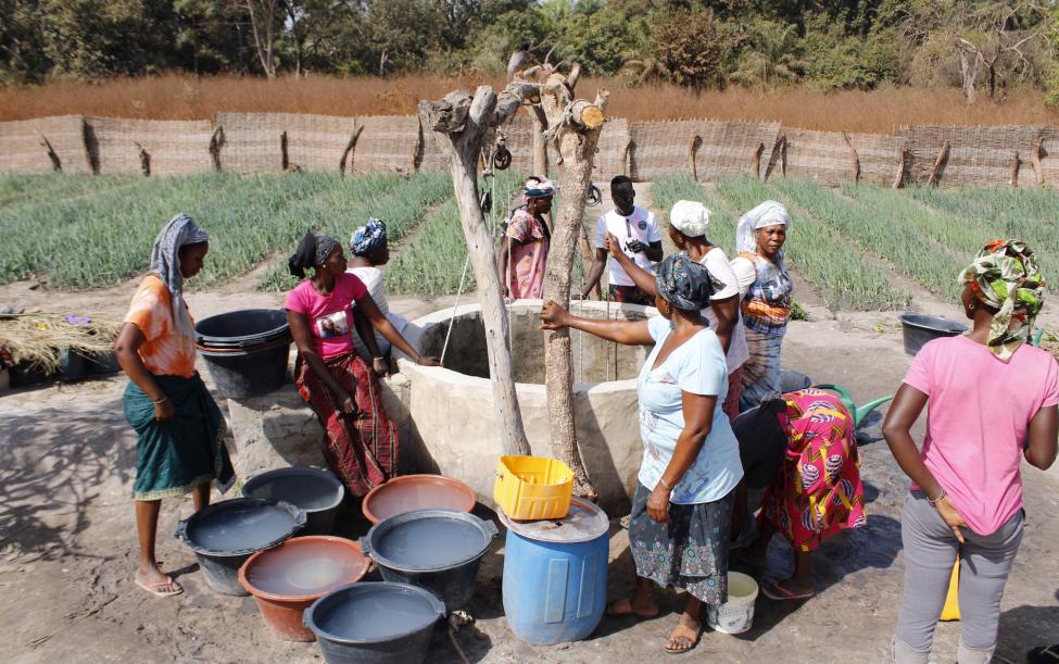 OIM - ONU Migration tweet media