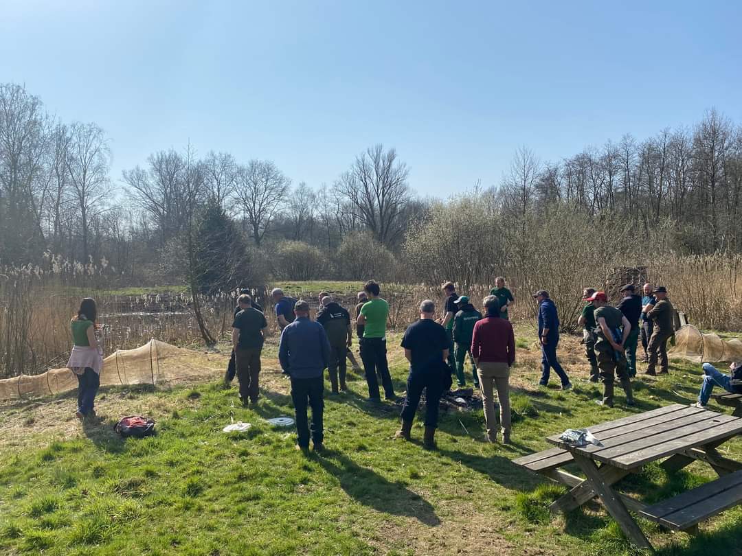 Dinsdag was onze opleidingsdag voor iedereen die instaat voor het afvangen van Amerikaanse stierkikker in Vlaanderen. Uitleg over de aanpak van de actieve bestrijding, overlopen van materiaal, planning en een demonstratie van plaatsen van fuiken.
#life3nstierkikker #LIFEprogramme