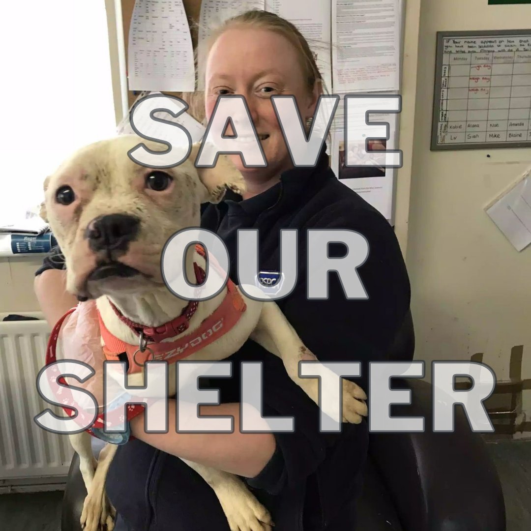 ❗ Your help is desperately needed to save our shelter ❗ Donate directly: bit.ly/save-our-shelt…

Covid-19 and increased bills means we are close to closing our doors. You are crucial we receive no government funding, and are separately funded to the National RSPCA. Please help
